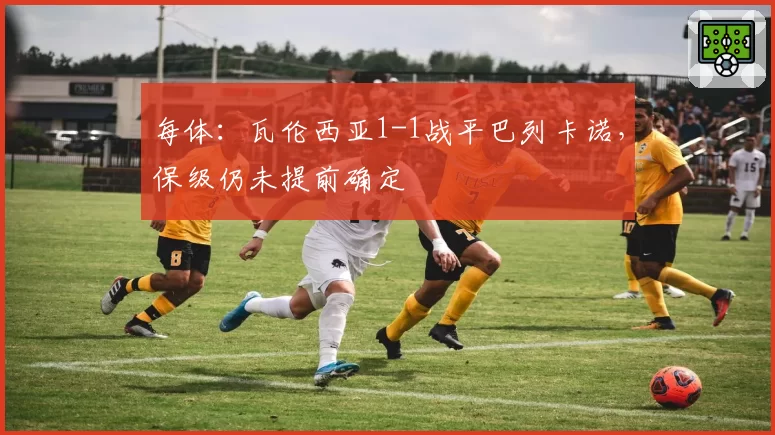 每体：瓦伦西亚1-1战平巴列卡诺，保级仍未提前确定