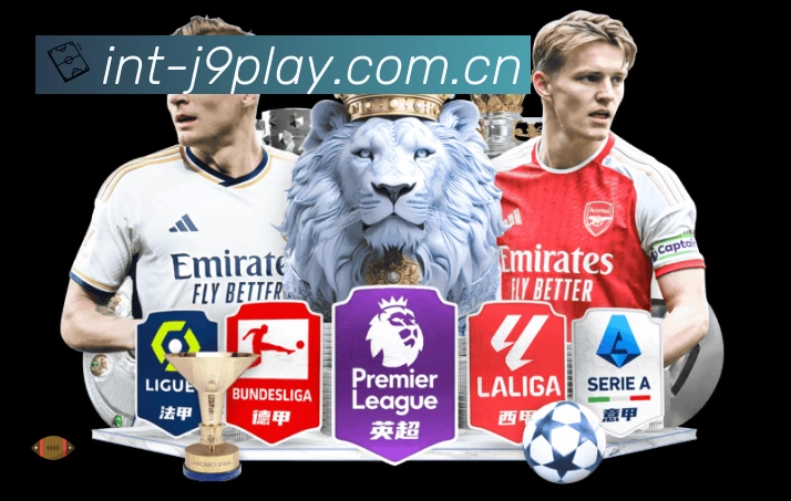 九游会体育APP 高清赛事图